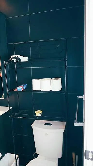 Apartment Beautiful Condo In The Centre Of Downtown Toronto Canada