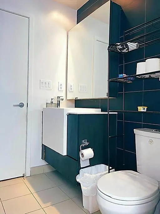 Beautiful Condo In The Centre Of Downtown Toronto Canada